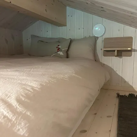 Moderne Hytte Med Hoy Standard Lejlighed
