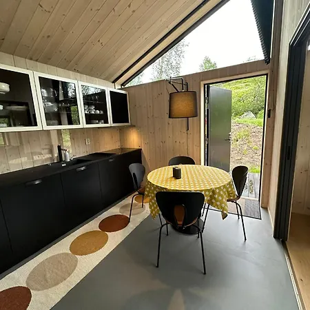 Moderne Hytte Med Hoy Standard * Tyinkrysset
