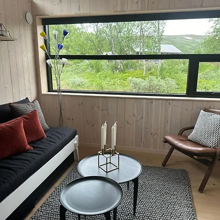 Moderne Hytte Med Hoy Standard
